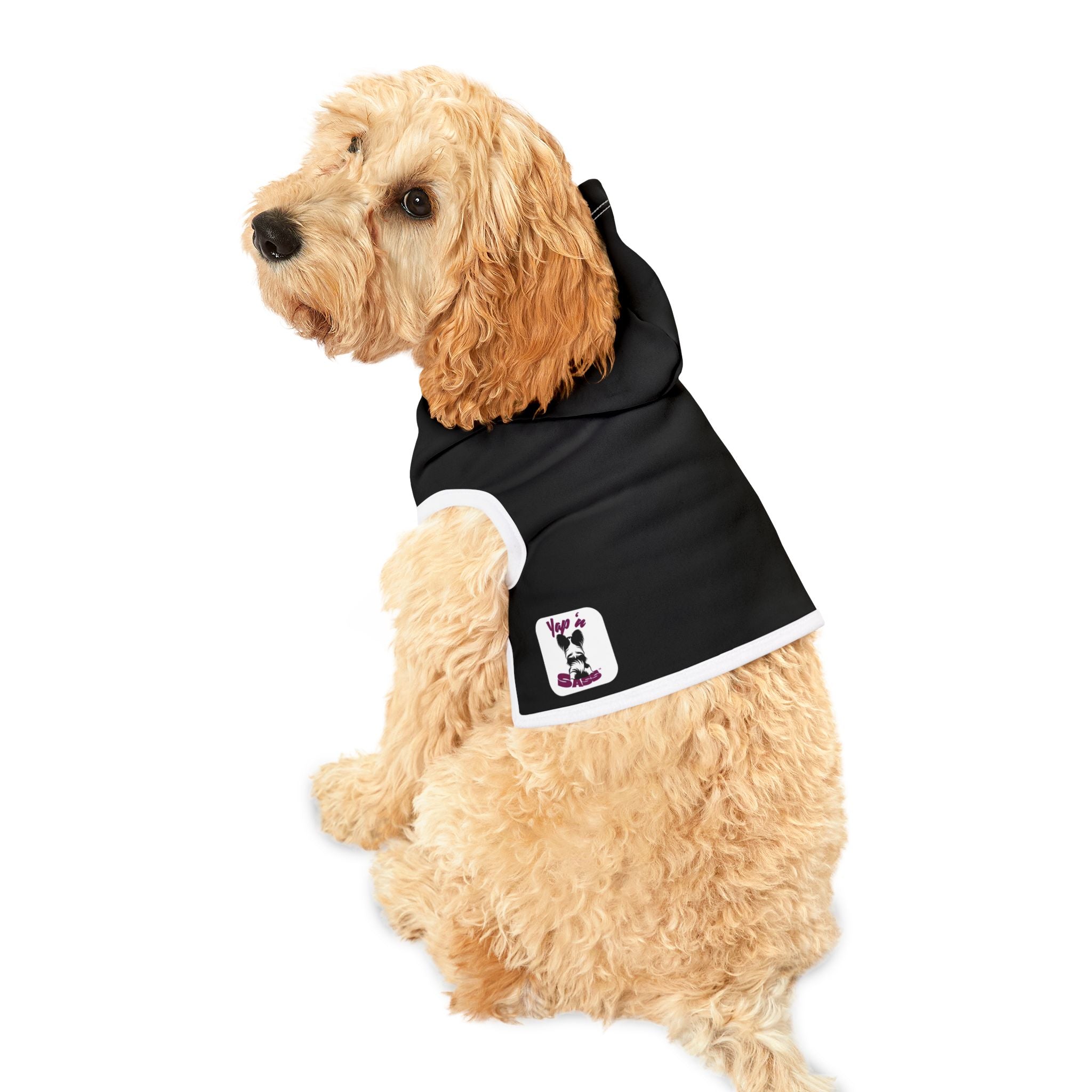 "Blackout" Signature Hoodie – Sleek Black Small Dog Streetwear- Apparel