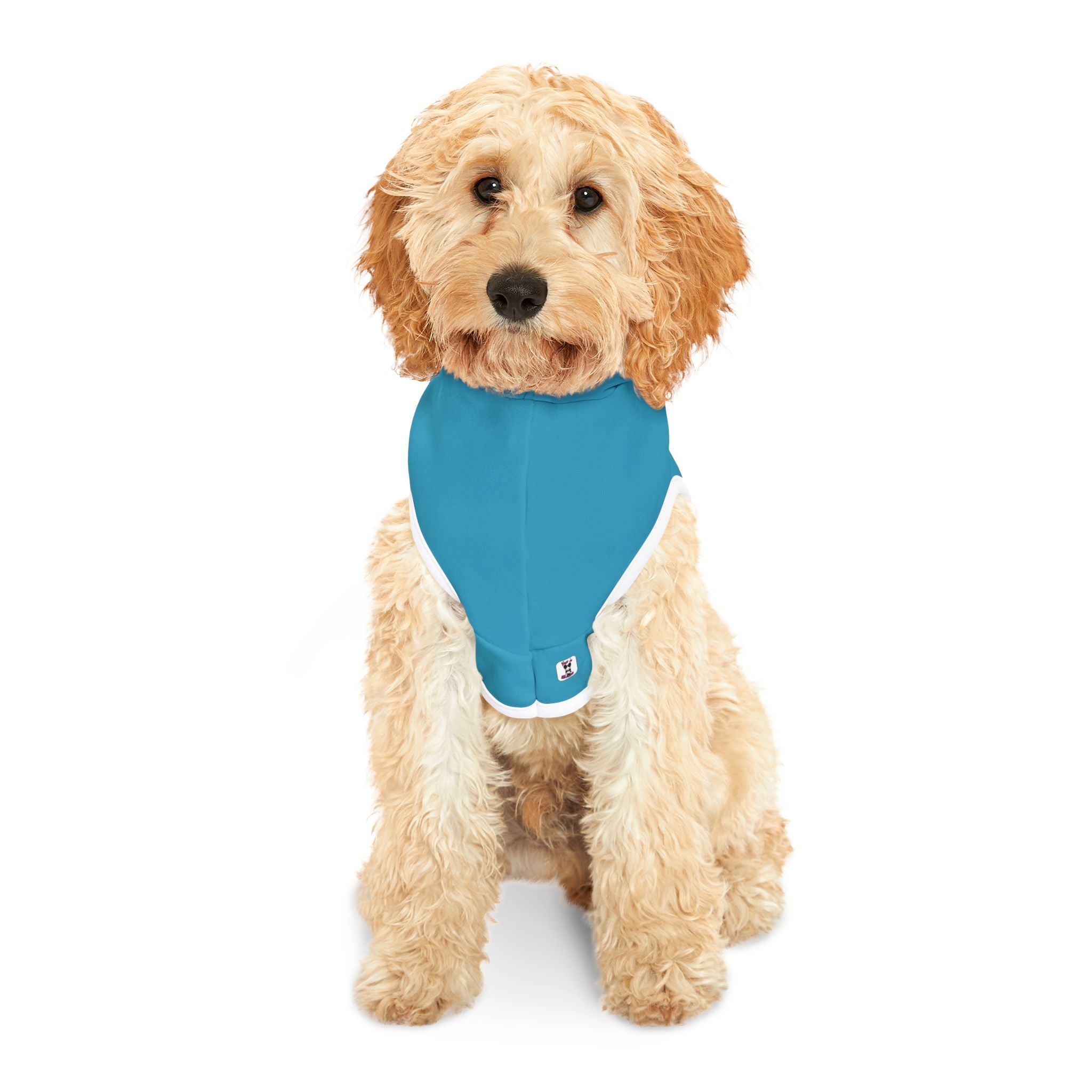 "Sass Trifecta" Vibrant Teal Hoodie –  Small Dog Fashion