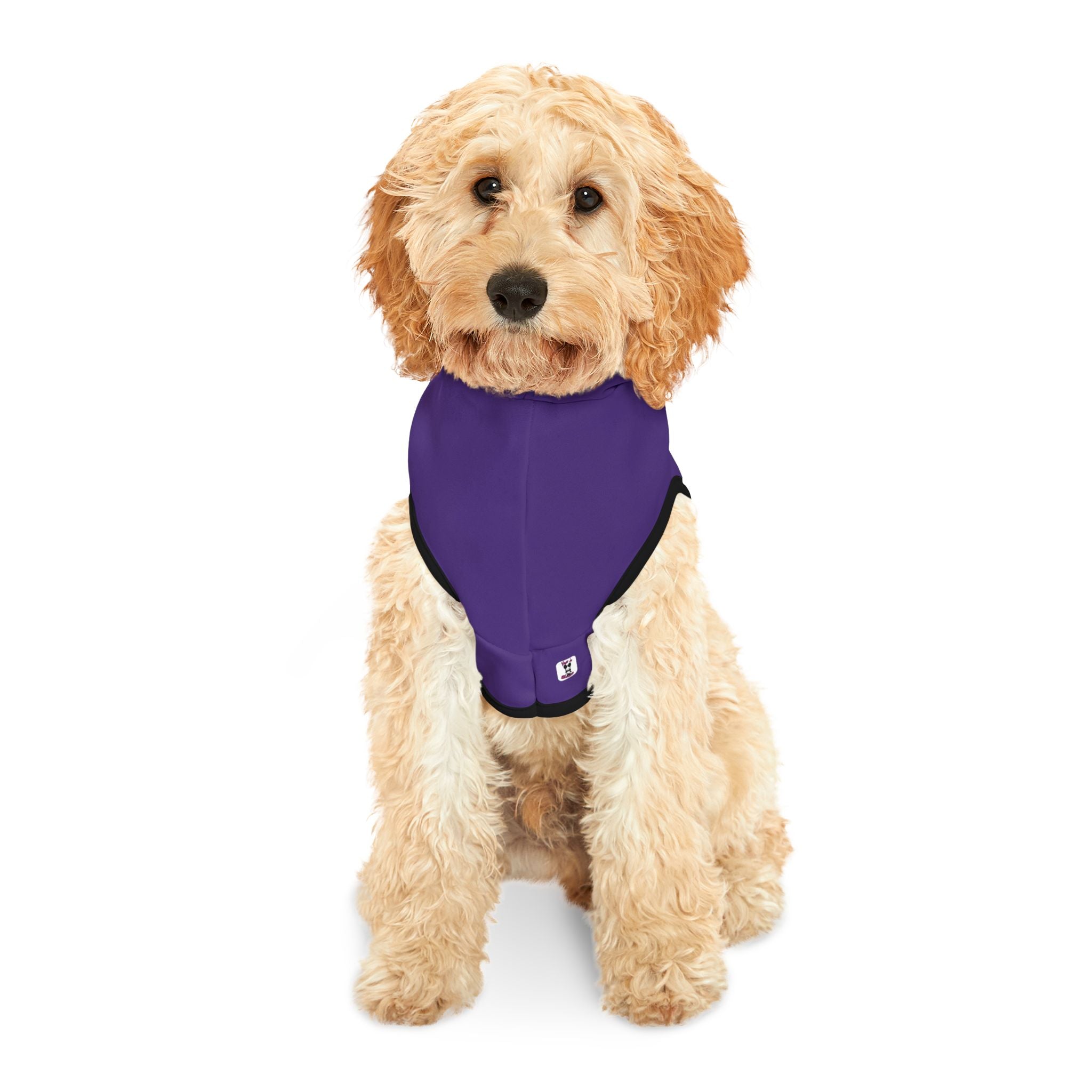 "Sass Trifecta" Regal Purple Hoodie – Sassy Dog Fit