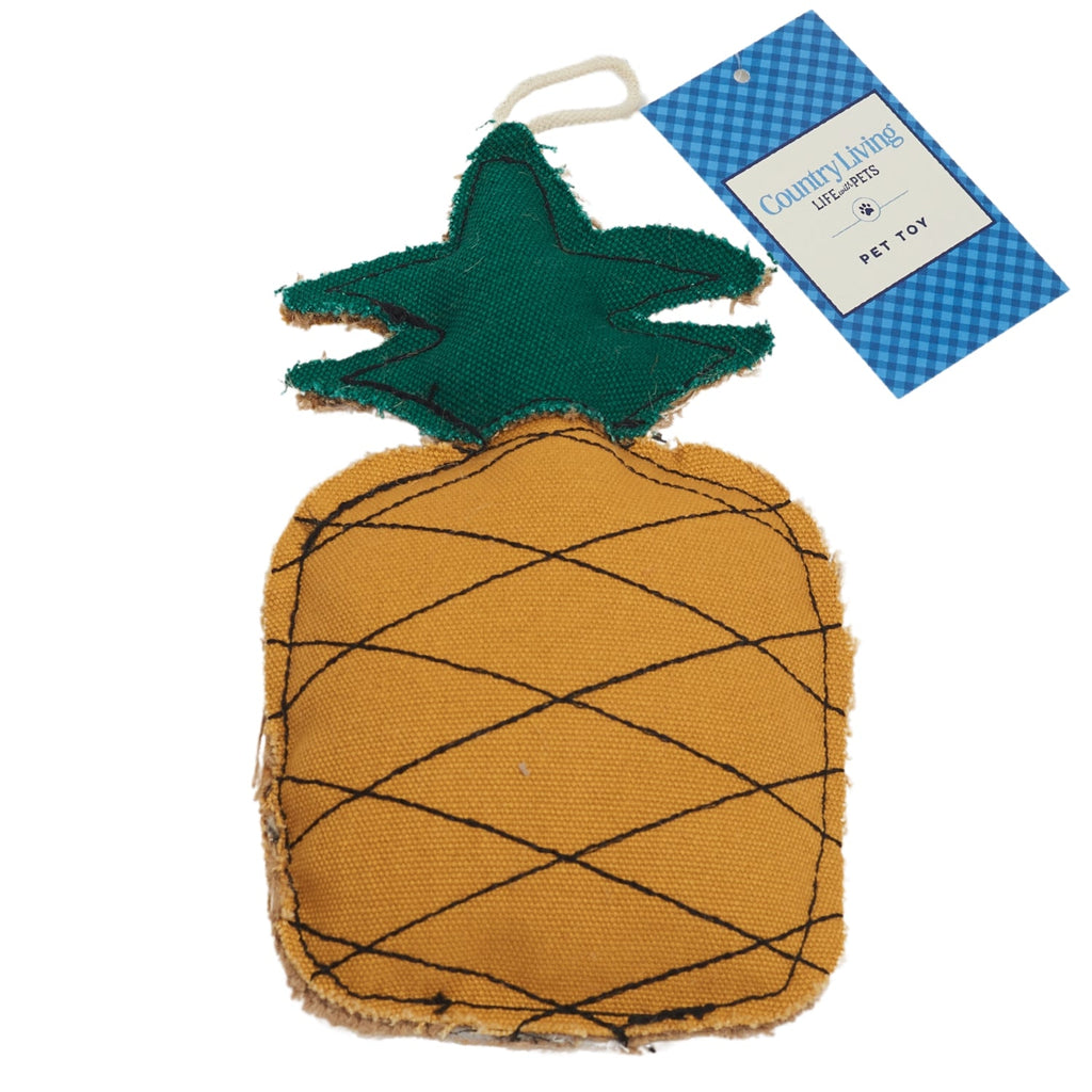 Jute & Canvas Pineapple Dog Chew Toy | Durable Natural Fiber Chew for Small Dogs | Country Living