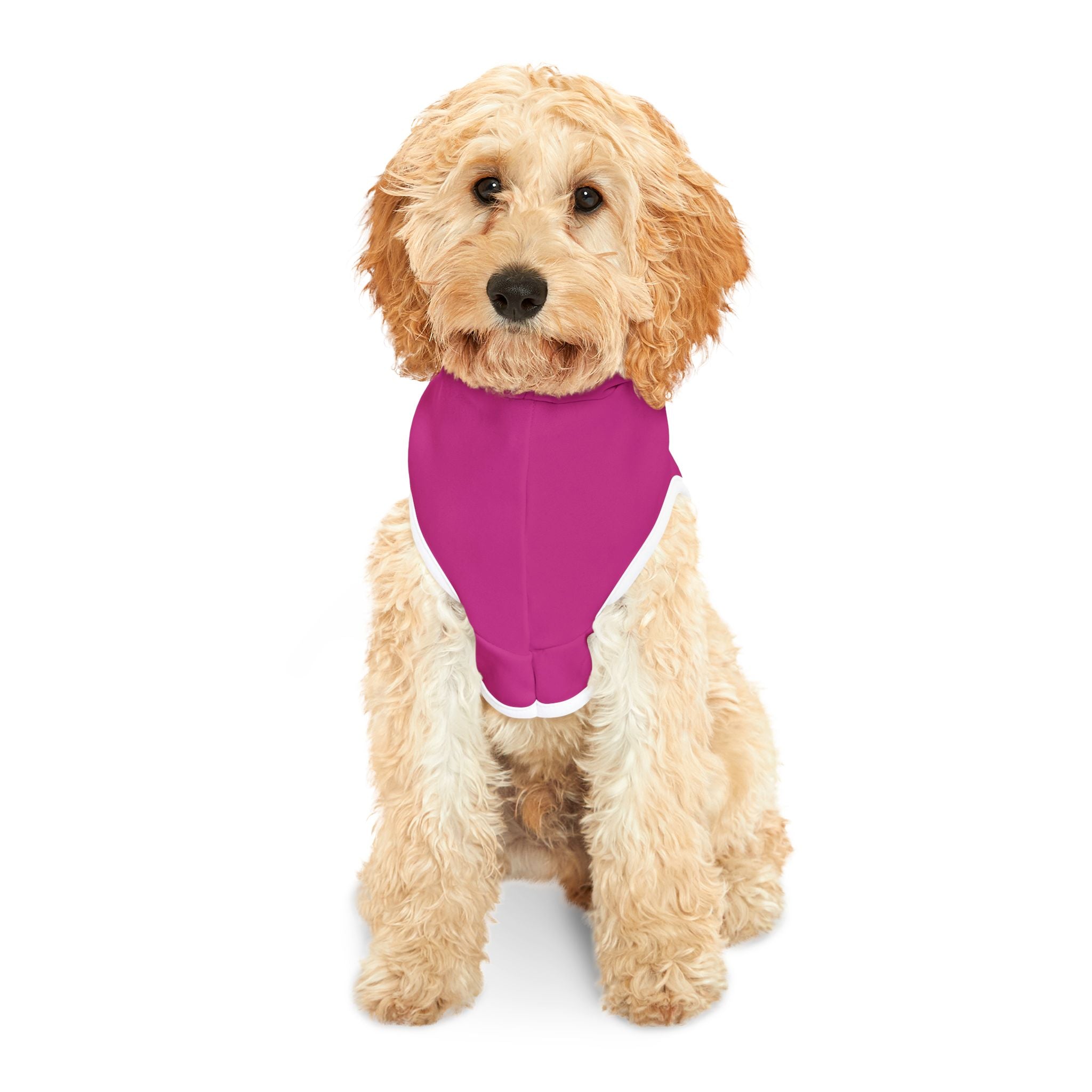 "Diva Pink" Signature Hoodie – Bold 'n Sassy Dog Apparel