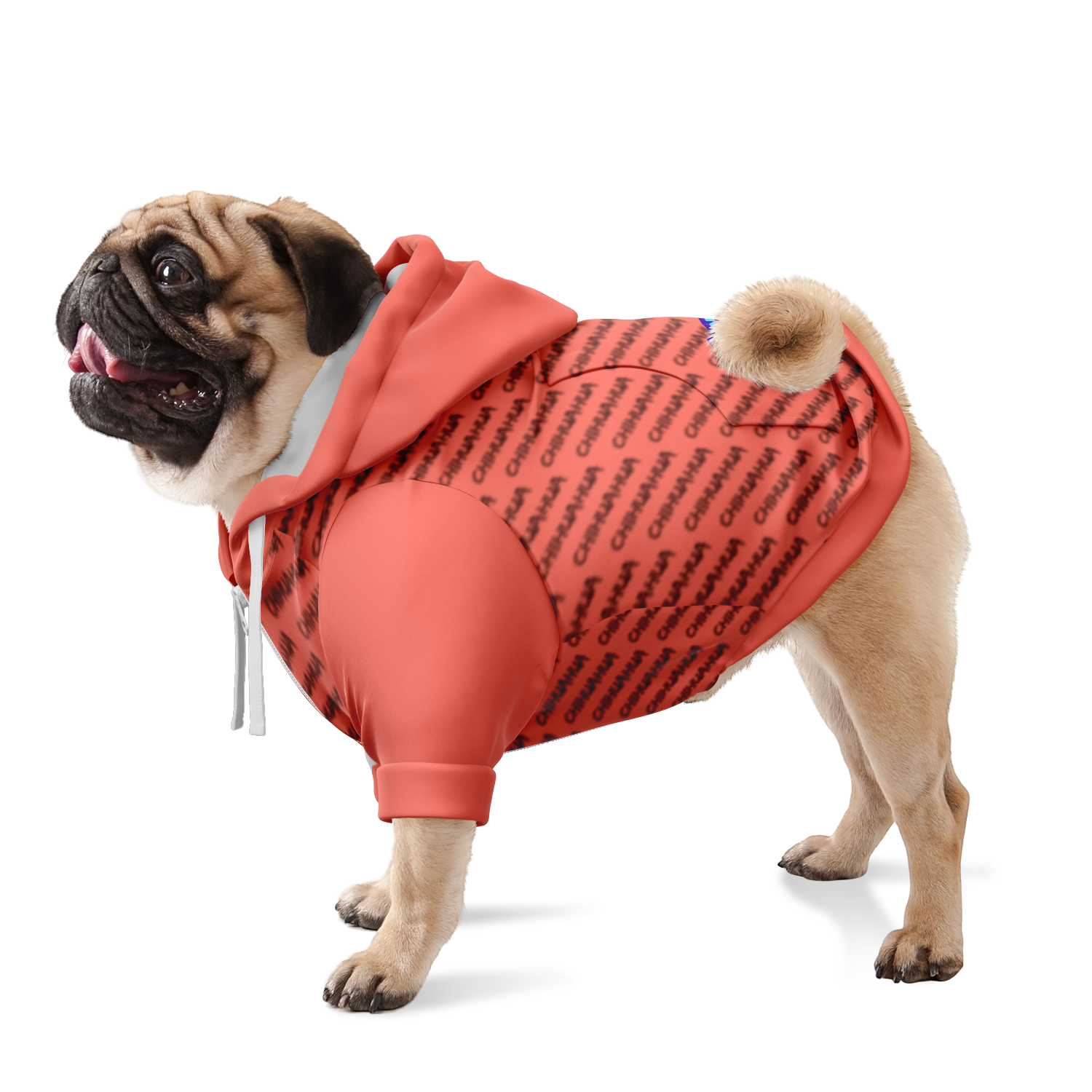 Chihuahua Crash Out Hoodie | Recycled Fiber | King - Salmon