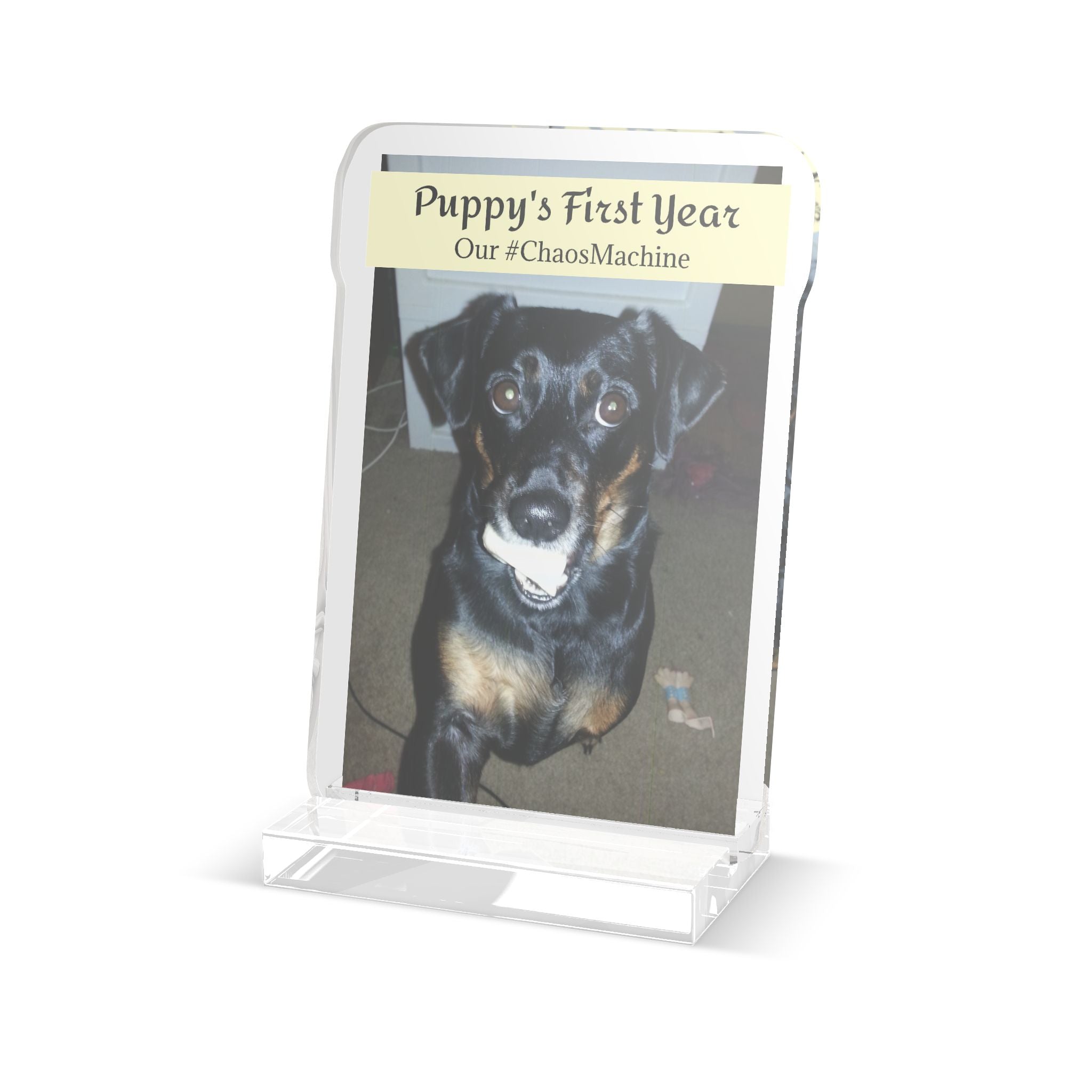 Custom Memento/Memorial Dog Portrait - 6in Tall - Acrylic