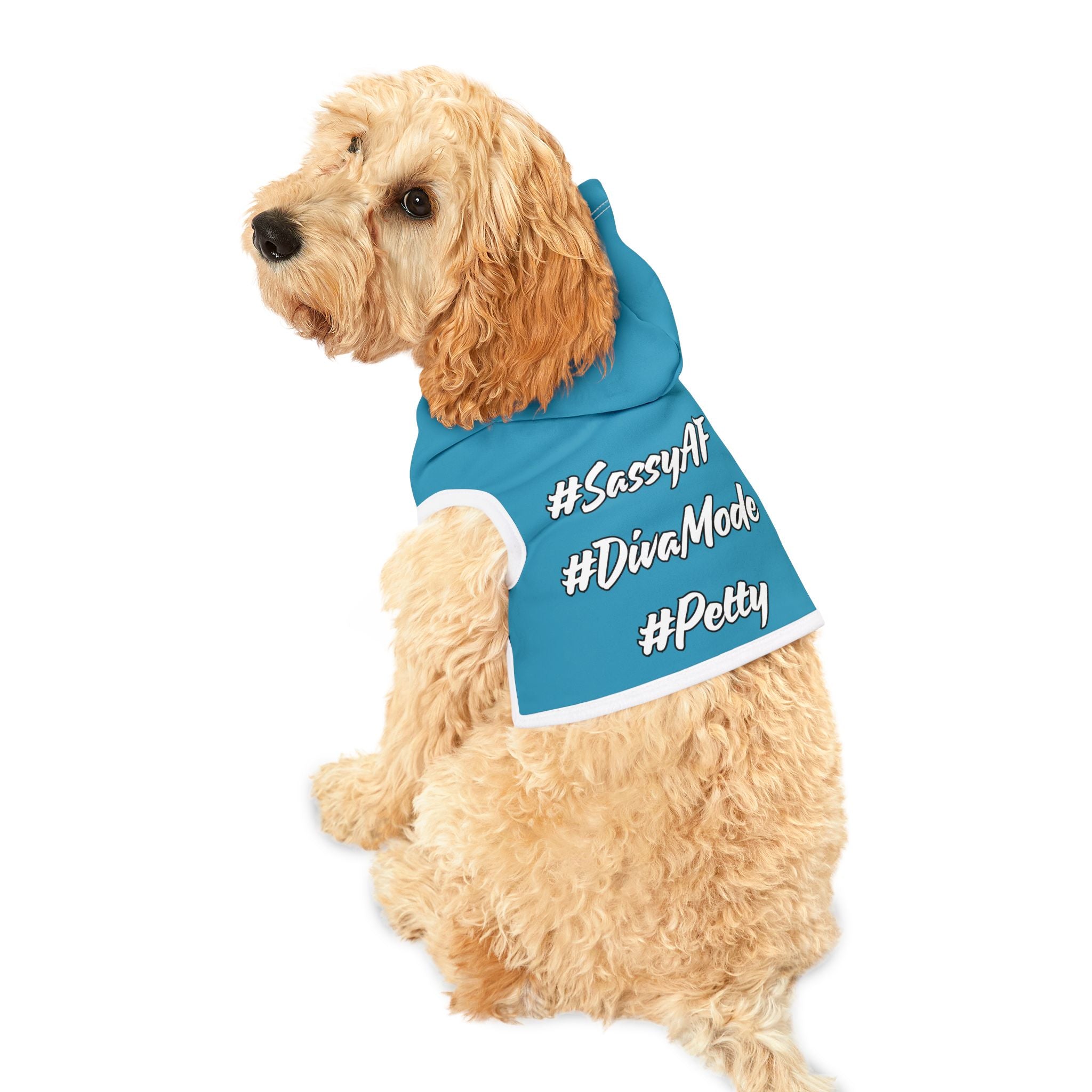 "Sass Trifecta" Vibrant Teal Hoodie –  Small Dog Fashion