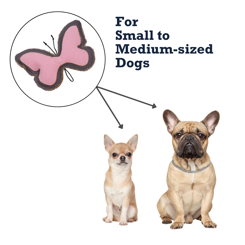 Jute & Canvas Butterfly Dog Toy | Durable Natural Fiber Chew for Small Dogs | by Country Living