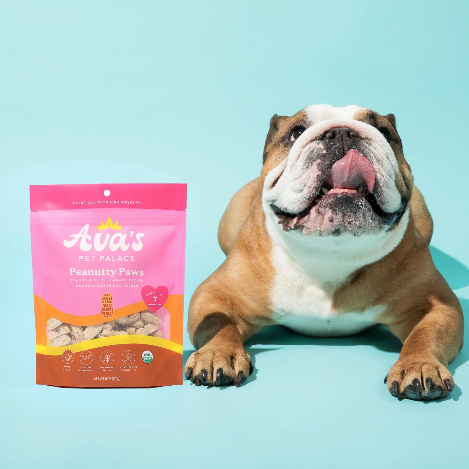 Organic Peanut Butter Dog Treats (Oven Baked) |  Ava's Pet Palace | (6 oz) / 2-Pack