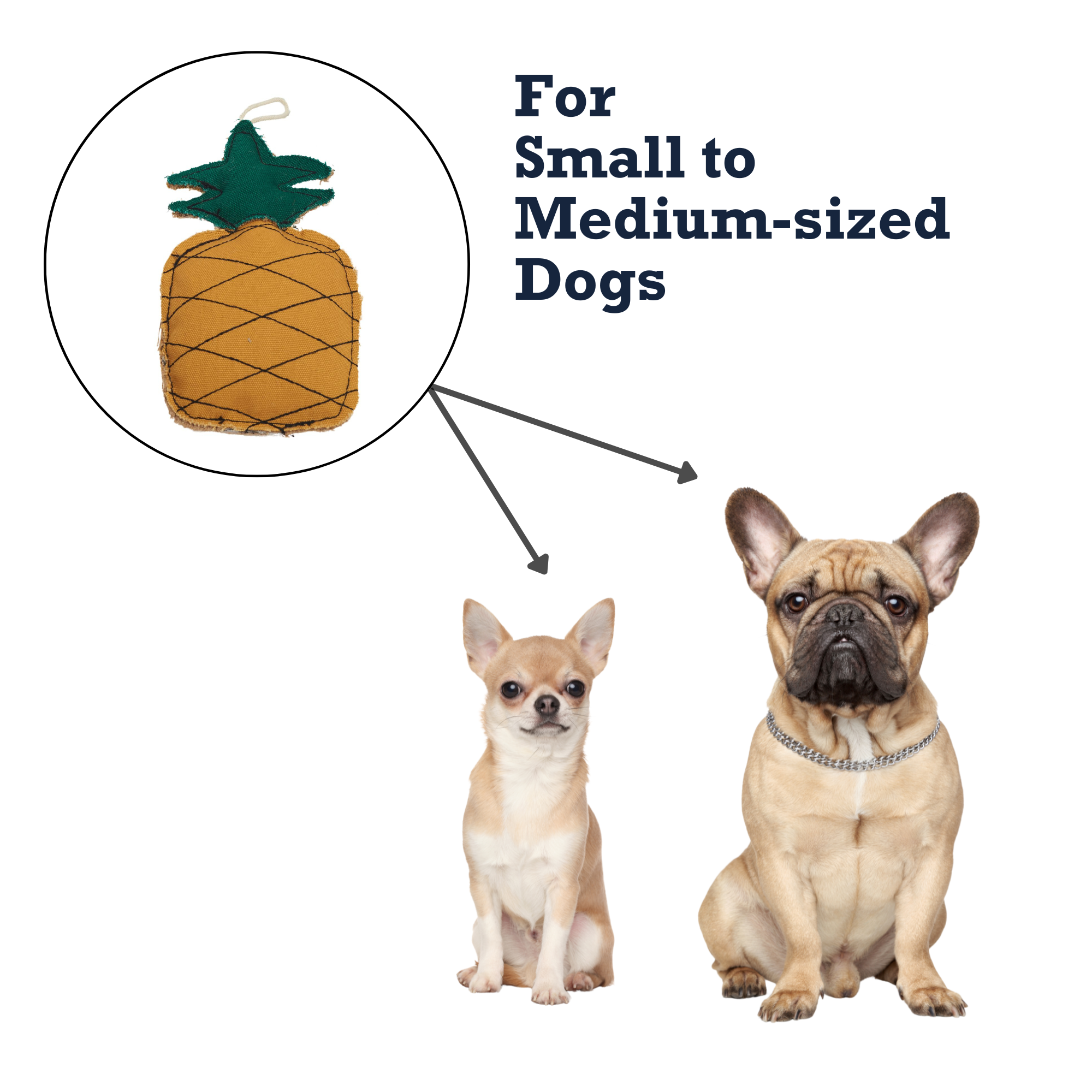 Jute & Canvas Pineapple Dog Chew Toy | Durable Natural Fiber Chew for Small Dogs | Country Living
