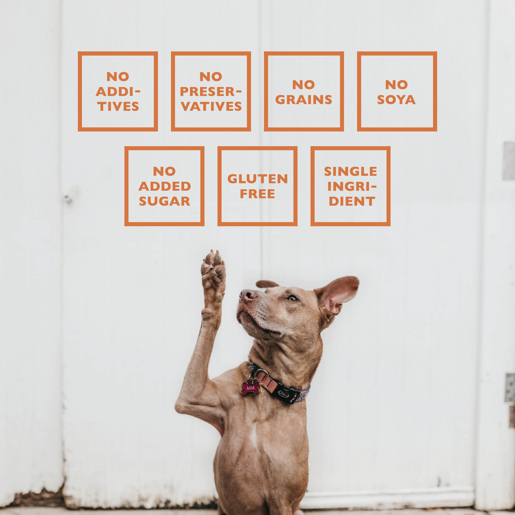 Freeze-Dried Lamb Lung Dog Treats | Single-Ingredient Training Bites| 7 oz | by Baffs Naturals